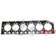 Head Gasket