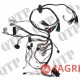 Wiring Loom