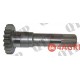 Pinion