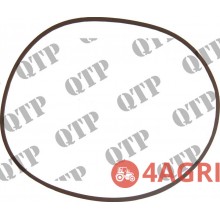 Brake Seal