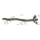 Bonnet Catch