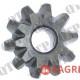 Rear Differential Gear
