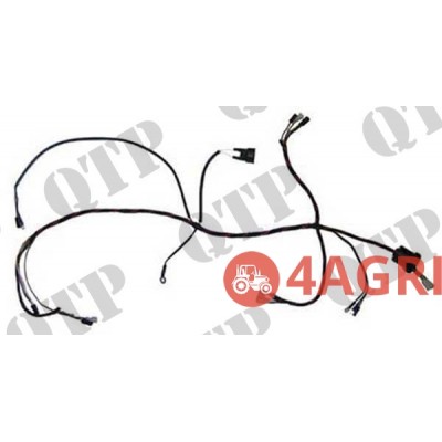 Wiring Loom