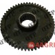 Gear