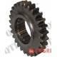 Pinion Gear
