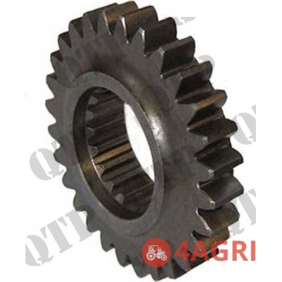 Pinion Gear