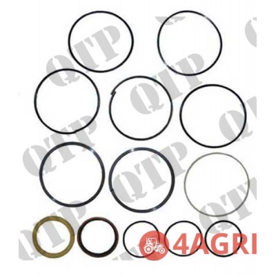 Boom Ram Seal Kit