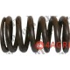 Valve Spring Exhaust & Intake