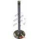 Exhaust Valve
