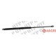 Gas Strut