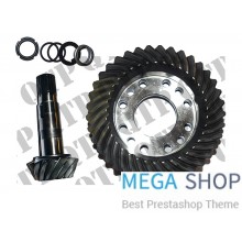 Crown Wheel & Pinion
