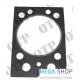 Head Gasket