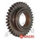 Gear