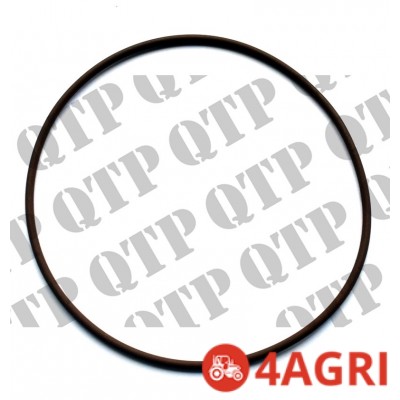 O-Ring Rear Crankshaft Cover