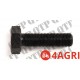 Flywheel Bolt