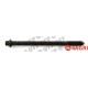 Cylinder Head Bolt