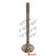 Exhaust Valve