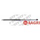 Gas Strut Rear Window