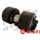 Blower Motor