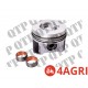 Piston c/w Rings