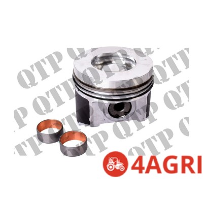 Piston c/w Rings