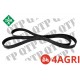 Fan Belt