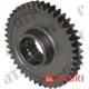Gear