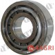 Bearing