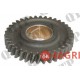 Balancer Unit Gear
