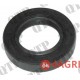 PTO Seal