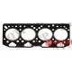 Head Gasket