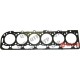 Head Gasket