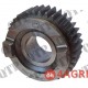 Gear
