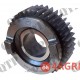 Gear